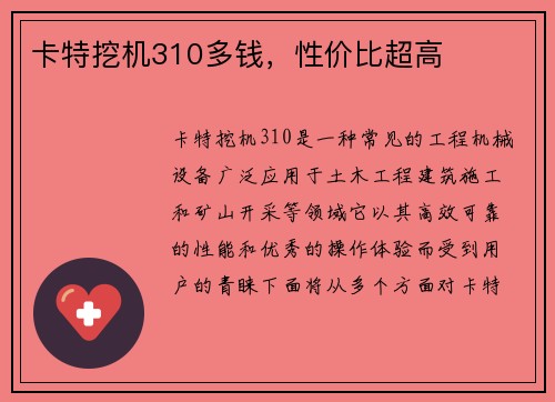 卡特挖机310多钱，性价比超高